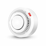 Smoke Fire and Gas Detectors