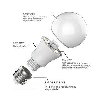 E27 Gloeilamp model RGB smartlamp enkel