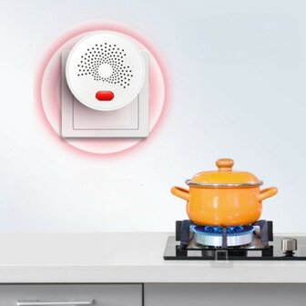 Gas Melder (LPG en Aardgas)