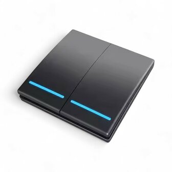 RF 433Mhz Slimme Draadloze Schakelaar Zwart (2-knoppen) - LOSSE KNOP