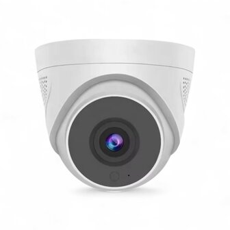 WiFi Security Camera Dome Ceiling Mount Basic
