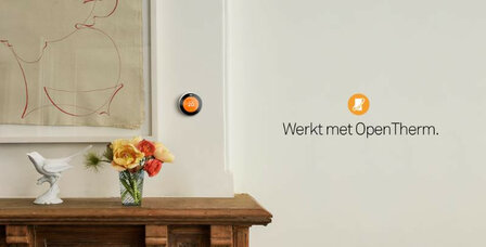 Google Nest Learning Thermostat v3 - RVS
