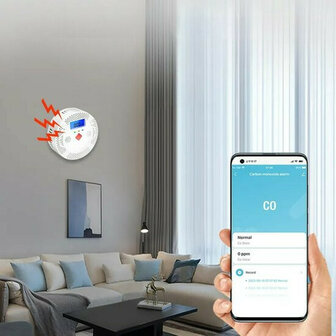 Carbon Monoxide Melder voor thuis kantoor en school met alarm bij 128 ppm