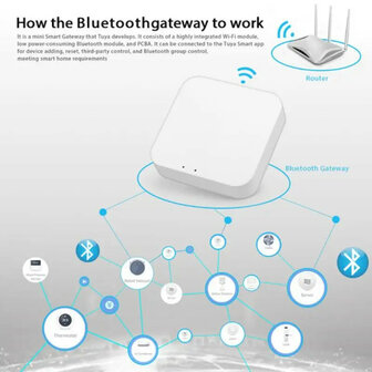 Zigbee Gateway voor smart home systeem met ondersteuning tot 100 apparaten