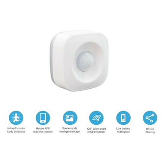 D&eacute;tecteur de mouvement Wi-Fi intelligent 5 m&egrave;tres