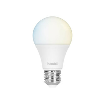 Slimme lamp voor binnenverlichting met Wi Fi en grote fitting E27 in instelbare tunable wit tinten