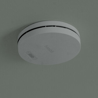 Rookmelder voor huisbeveiliging met wifi 24 gigahertz fotoelektrische sensor en tien jaar batterijduur