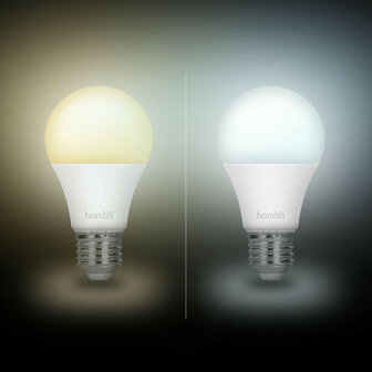 Smart lamp voor verlichting met Wi Fi bediening en grote fitting E27 instelbaar wit licht