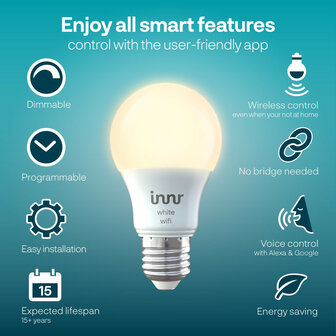 Slimme WiFi lamp voor binnenverlichting met grote E27 fitting warm wit licht en dimbaar 2 stuks