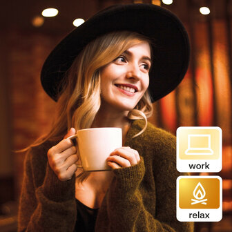 Slimme WiFi lamp voor binnenverlichting met grote E27 fitting warm wit licht en dimbaar 2 stuks