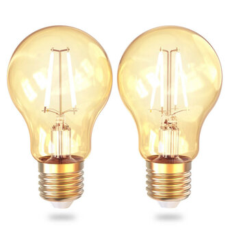 Filament lamp voor sfeerverlichting met wifi bediening grote fitting E27 dimbaar vintage stijl 2 pack