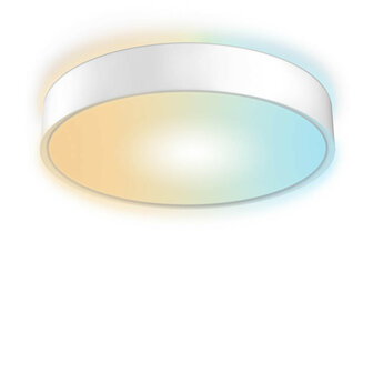 Plafondlamp voor slimme verlichting met Zigbee 3 0 dimfunctie tot 025 procent metalen behuizing ronde vorm wit E27 fitting