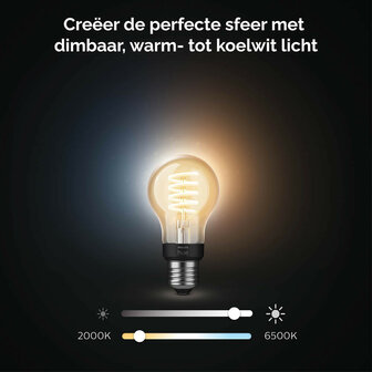 Filament lamp voor verlichting met Zigbee Bluetooth en variabele lichtkleur geschikt voor E27 fitting