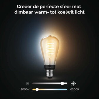 Filament Edison lamp voor slimme verlichting met Bluetooth Zigbee verstelbare lichtkleur E27 fitting