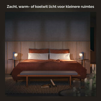 Lamp voor verlichting met grote fitting E27 instelbaar wit licht Bluetooth Zigbee 3 0 verpakking van 2 stuks