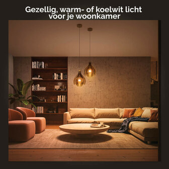 Lamp voor verlichting met E27 fitting instelbare wit tinten Philips Hue 2 stuks