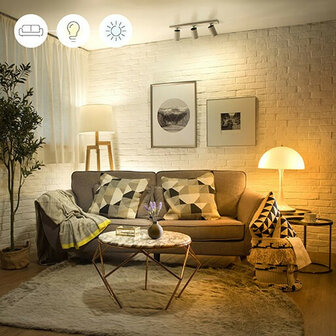Wiz Wi-Fi lamp E27 2-pack voor slimme verlichting met tunable wit