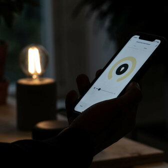 Smart lamp voor binnenverlichting met grote fitting E27 en helder filament licht