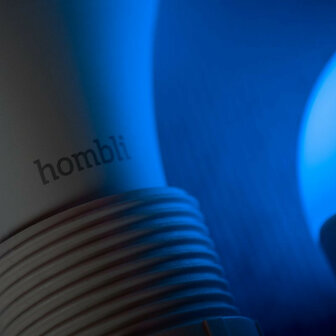 Smart lamp voor verlichting met wifi en kleurinstelling grote fitting E27 800 lumen 25000 uur levensduur