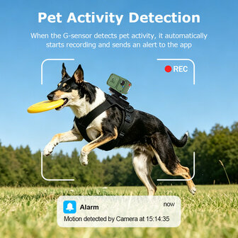 Gps hondenhalsband met camera + tracking met real time locatie en waterdichtheid IP66