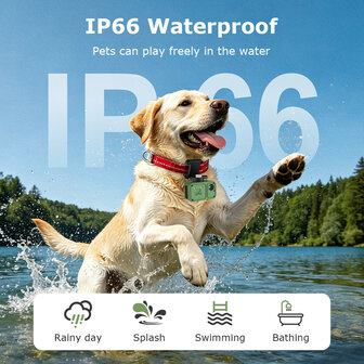 Gps hondenhalsband met camera + tracking met real time locatie en waterdichtheid IP66