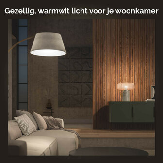Lamp voor binnenverlichting met E27 fitting warm wit licht dimbaar 2700K met Zigbee en Bluetooth bediening set van 2