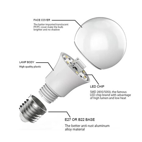 E27 Gloeilamp model RGB smartlamp enkel
