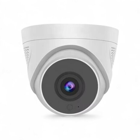 WiFi Security Camera Dome Ceiling Mount Basic
