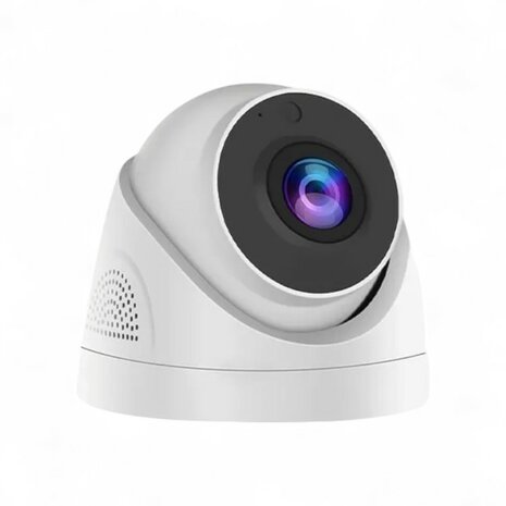 WiFi Security Camera Dome Ceiling Mount Basic