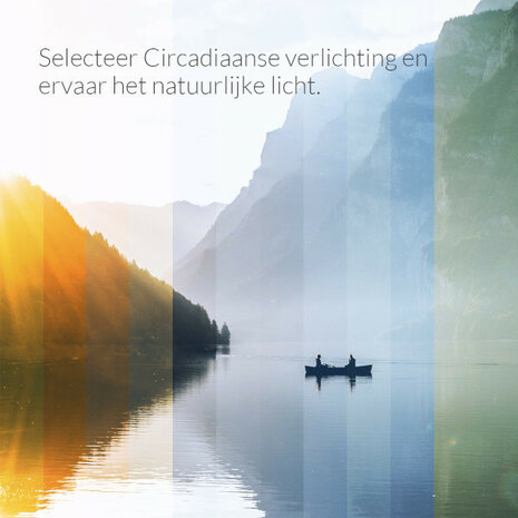 Slimme lamp voor E27 fitting met instelbaar wit licht en 9 watt vermogen