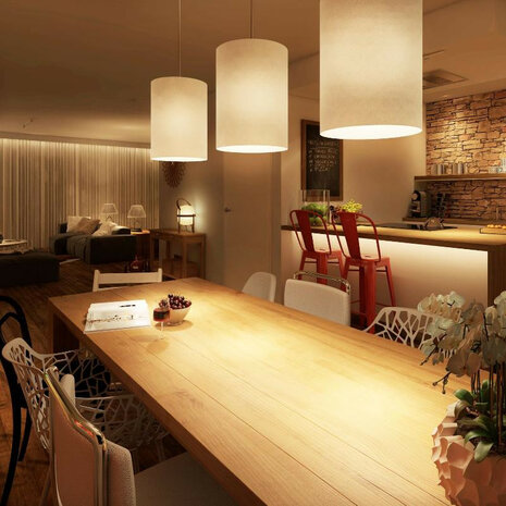 Ledlamp voor sfeerverlichting met Zigbee 3 0 grote E27 fitting dimbaar warm en koud licht wit kunststof