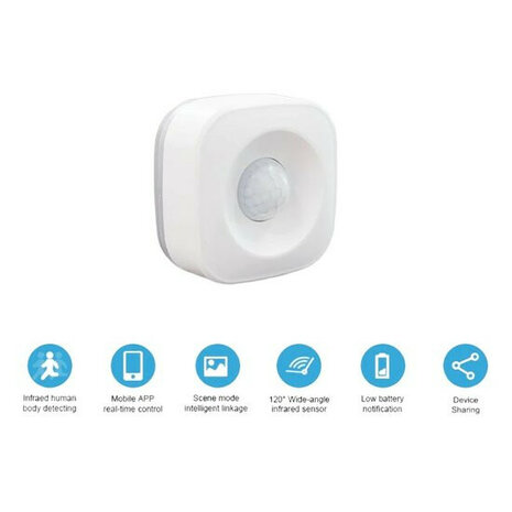 D&eacute;tecteur de mouvement Wi-Fi intelligent 5 m&egrave;tres