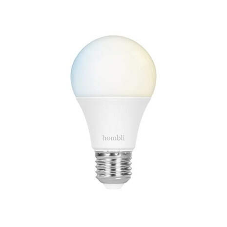 Slimme lamp voor binnenverlichting met Wi Fi en grote fitting E27 in instelbare tunable wit tinten