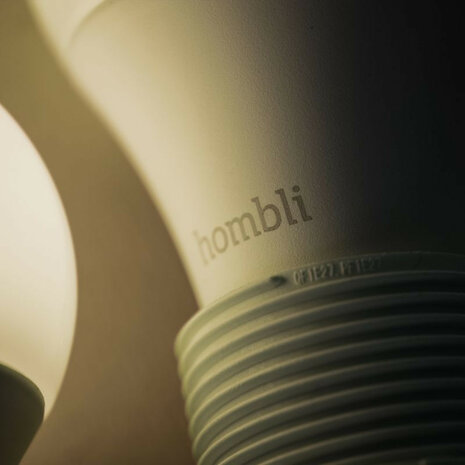 Slimme lamp voor binnenverlichting met Wi Fi en grote fitting E27 in instelbare tunable wit tinten