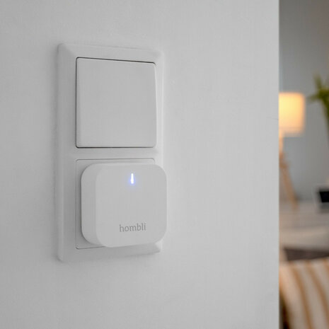 Bridge voor binnen met draadloze bediening maximaal 32 apparaten aansluiting Bluetooth 40 WiFi 24GHz compatible met Alexa en Google Home