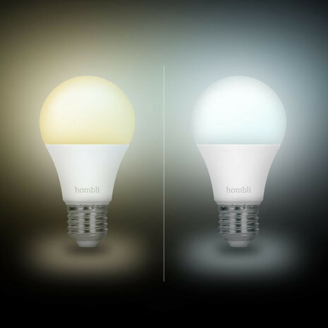 Smart lamp voor verlichting met Wi Fi bediening en grote fitting E27 instelbaar wit licht