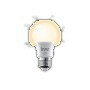 Ledlamp voor slimme verlichting met E27 fitting dimbaar warm wit licht Zigbee 3.0 geschikt voor binnengebruik