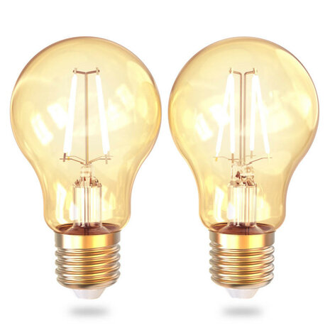 Filament lamp voor sfeerverlichting met wifi bediening grote fitting E27 dimbaar vintage stijl 2 pack