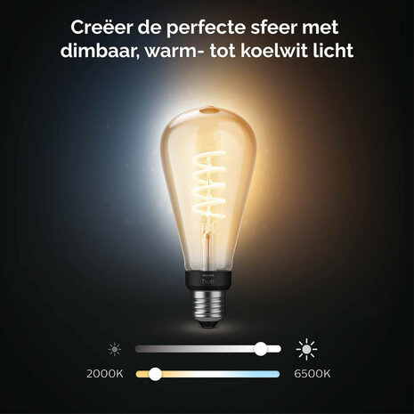 Filament Edison lamp voor sfeerverlichting met Zigbee Bluetooth E27 fitting instelbaar lichtkleur