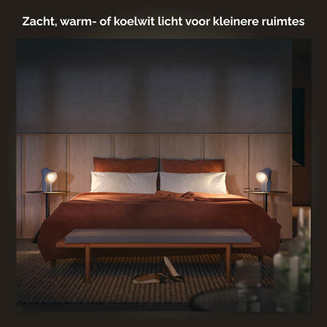 Lamp voor verlichting met grote fitting E27 instelbaar wit licht Bluetooth Zigbee 3 0 verpakking van 2 stuks