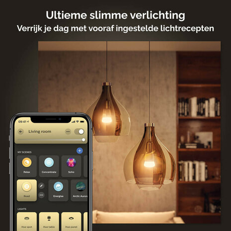 Lamp voor verlichting met E27 fitting instelbare wit tinten Philips Hue 2 stuks