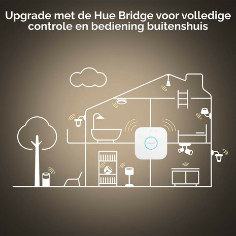 Lamp voor verlichting met E27 fitting instelbare wit tinten Philips Hue 2 stuks