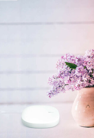 Smart Home Hub voor Samsung SmartThings met Zigbee en Zwave connectiviteit bedraad en draadloos maximaal 100 apparaten wit kunststof