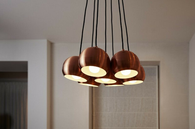 Ledlamp voor dagelijks gebruik met Zigbee 3 0 en grote E27 fitting warm wit licht