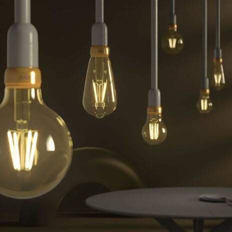 Filament Edison lamp voor slimme verlichting met Zigbee dimfunctie en E27 fitting