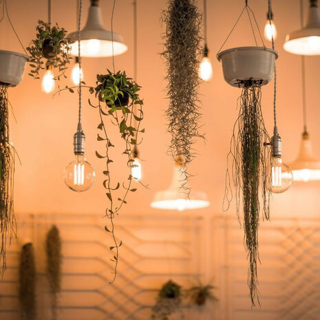 Filament Globe lamp voor Zigbee systemen met warm licht