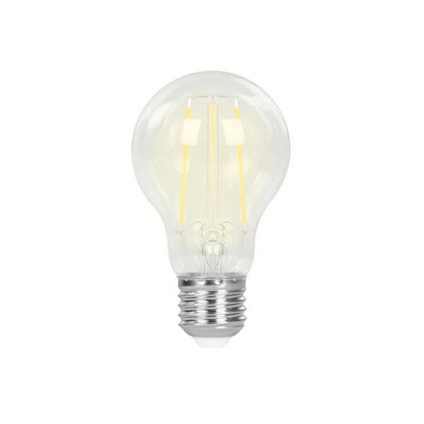 Smart lamp voor binnenverlichting met grote fitting E27 en helder filament licht