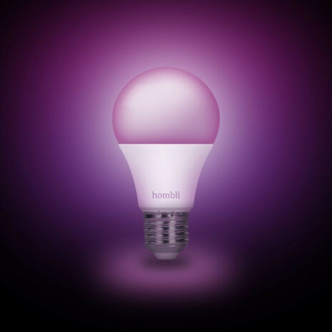 Smart lamp voor verlichting met wifi en kleurinstelling grote fitting E27 800 lumen 25000 uur levensduur