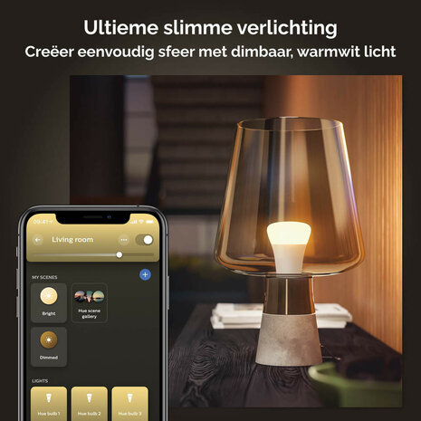 Lamp voor binnenverlichting met E27 fitting warm wit licht dimbaar Zigbee Bluetooth set van twee