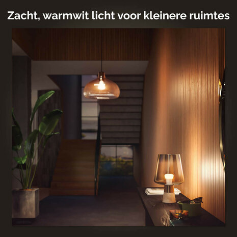 Lamp voor binnenverlichting met E27 fitting warm wit licht dimbaar Zigbee Bluetooth set van twee
